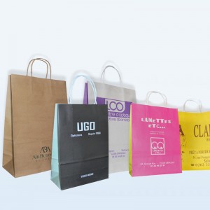 Sac luxe poignées torsadées